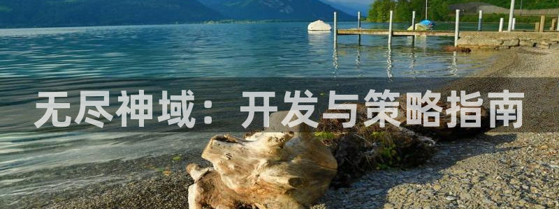 恩佐娱乐官方注册：无尽神域：开发与策略指南