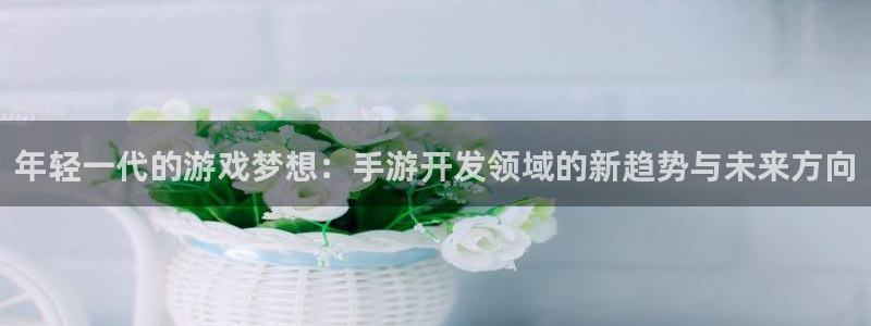恩佐娱乐平台正规吗可靠吗：年轻一代的游戏梦想：手游开发领域的
