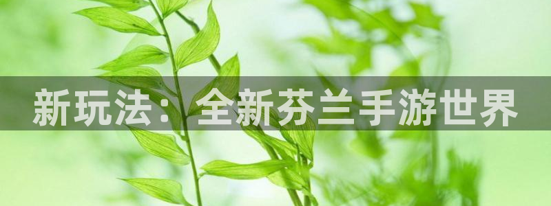 恩佐娱乐手机登录：新玩法：全新芬兰手游世界