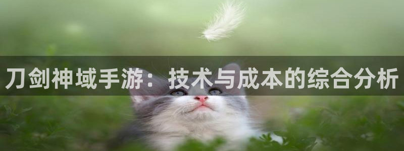 恩佐娱乐手机版最新功能介绍大全：刀剑神域手游：技术与成本的综