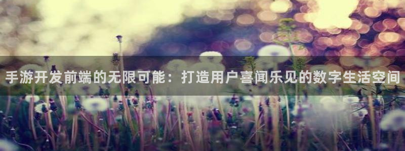 恩佐娱乐1：手游开发前端的无限可能：打造用户喜闻乐见的数字生