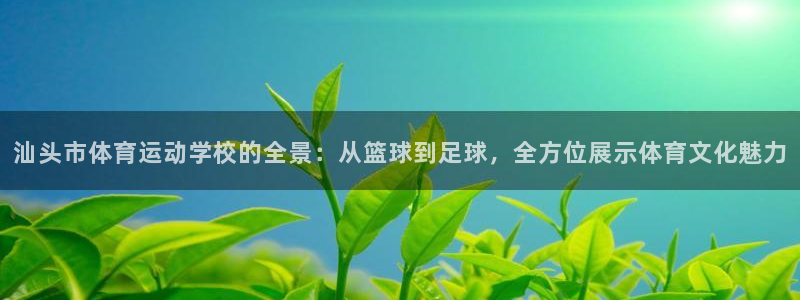 风速体育app