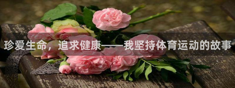 风速体育