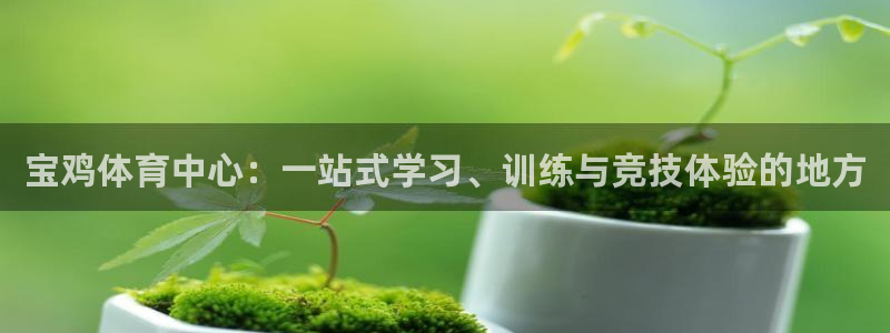 风速体育app官方下载