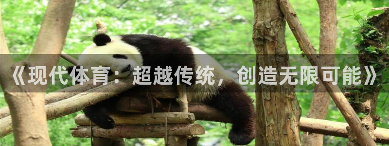 风速体育官网