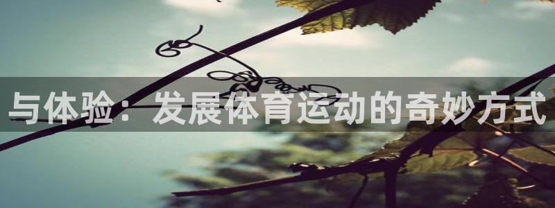 风速体育cba直播