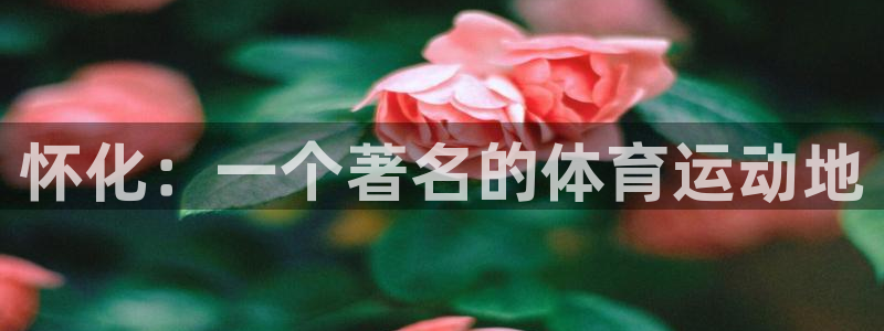 风速体育cba直播