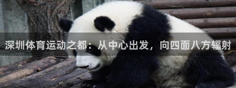 风速体育下载
