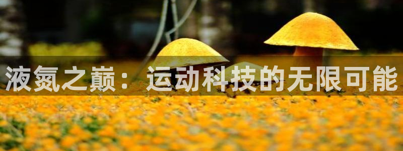 风速体育app下载安装最新版本