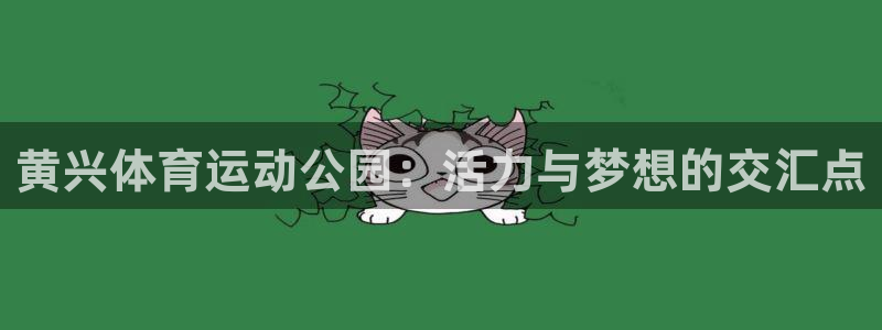 风速体育app下载官网最新版