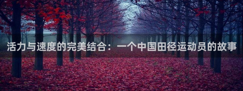 风速体育