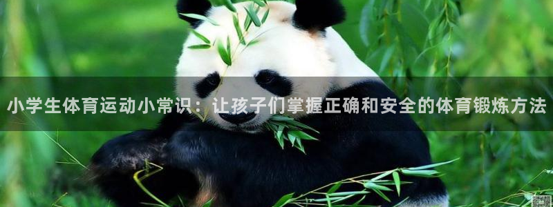 风速体育app官方下载