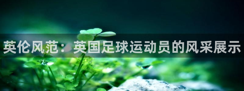 风速体育app官方下载