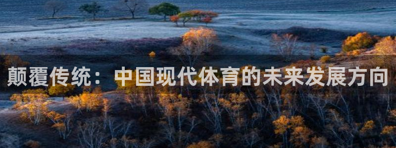 风速体育官网