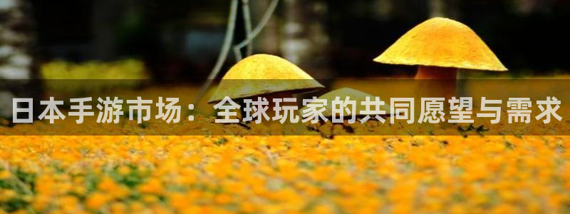 恩佐娱乐手机版最新功能介绍大全：日本手游市场：全球玩家的共同