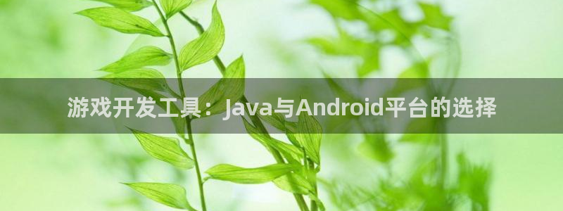恩佐娱乐官方注册：游戏开发工具：Java与Android平台