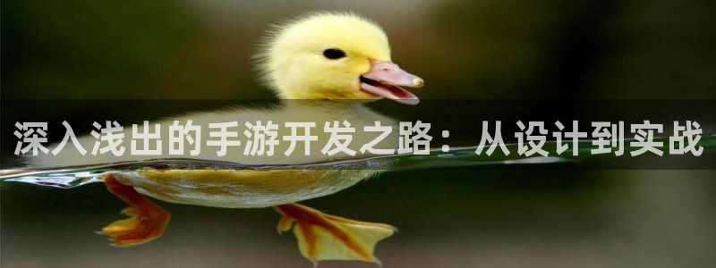 恩佐娱乐手机版最新功能介绍视频：深入浅出的手游开发之路：从设